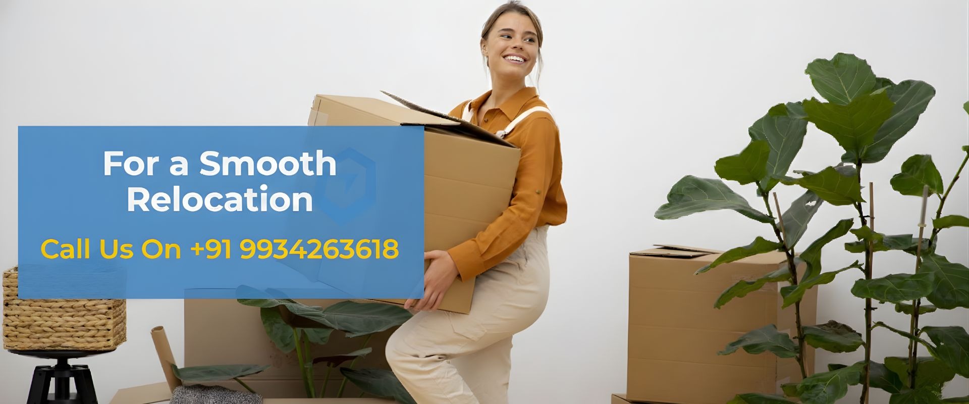 professional banner (1)